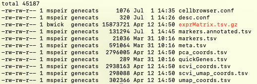 CbImportScanpy export files.png