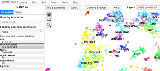 Cellbrowser gb link.png