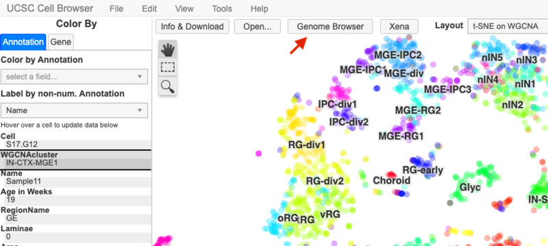 File:Cellbrowser gb link.png