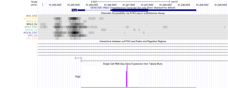 Cellbrowser gb hub.png