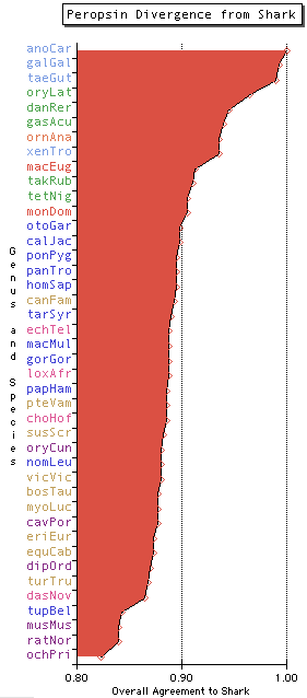 Opsin PER overall.png