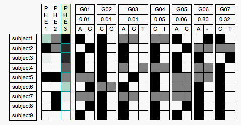 PhenSort.gif