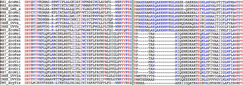 RH7acyPis.jpg