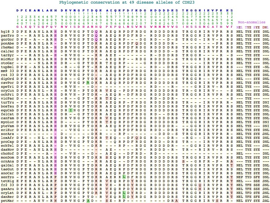 CDH23mutPhylo.jpg