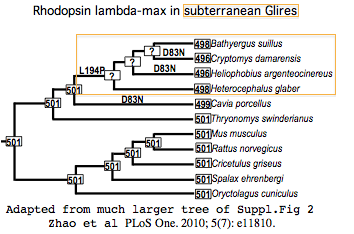 NmrLambda.png