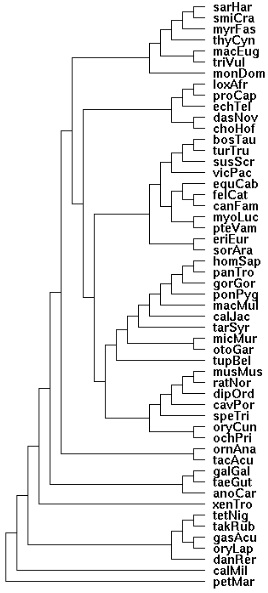 MarsupTree.jpg