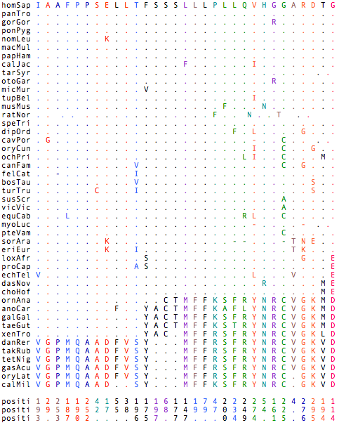 Opsin phyloSNPs.png