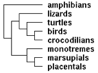 PRDM11tree.png