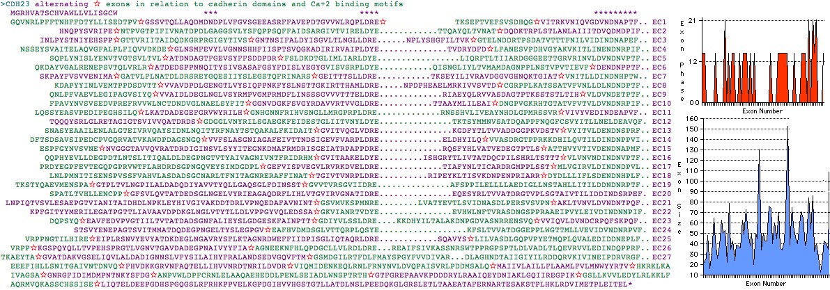 CDH23exons.jpg