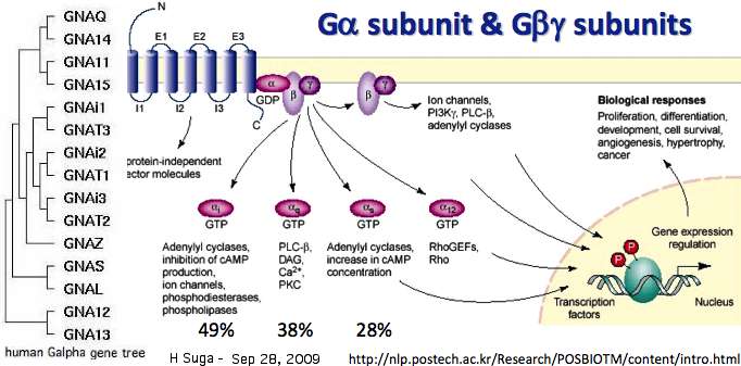 GabgComplexity.jpg