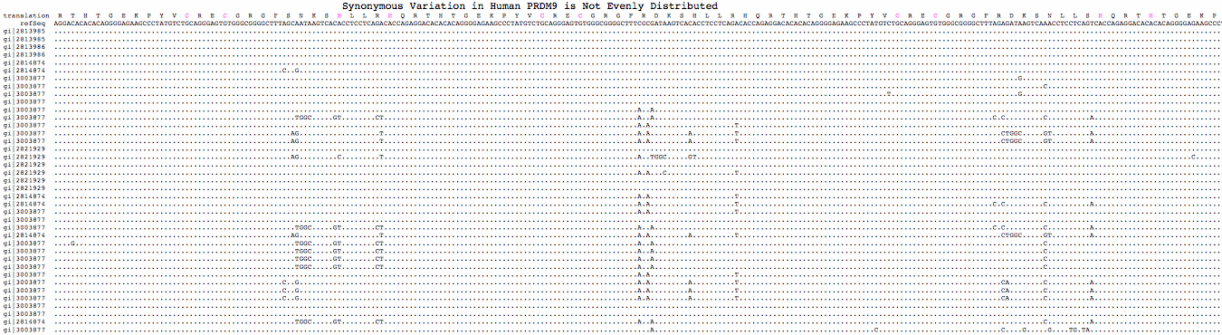 PRDM9syn.gif