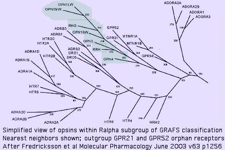 OpsinOrigins.jpg