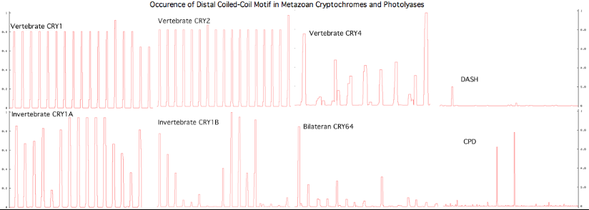 CRY1Bcoils.png