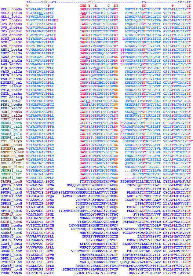 OpsinEC3indels.png